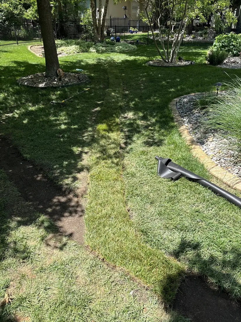 Restored lawn over a buried drain line